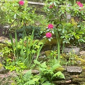 Meet your Posher, Dottie